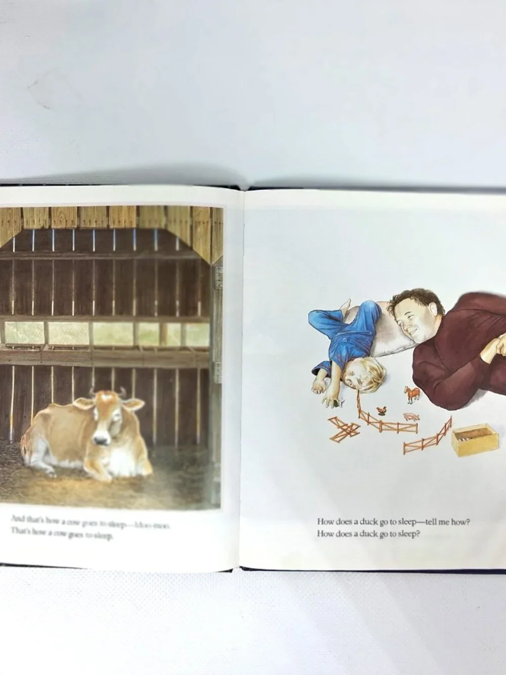 Going To Sleep On The Farm by Wendy Cheyette Lewison, Children's Book